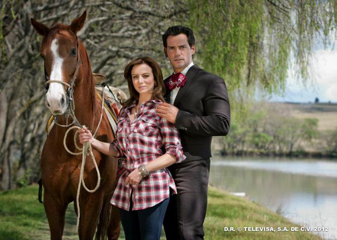 Nieposkromiona miłość (Amor bravio). Daniel /Andres (Cristián de la Fuente), Camila (Silvia Navarro)