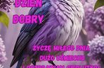 kartki na dzień dobry