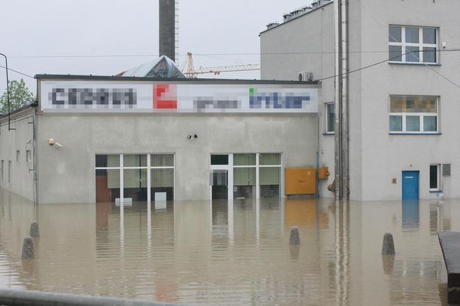 Wielka woda wdzierała się do domów. 14 lat temu Kraków i Małopolska walczyły z powodzią