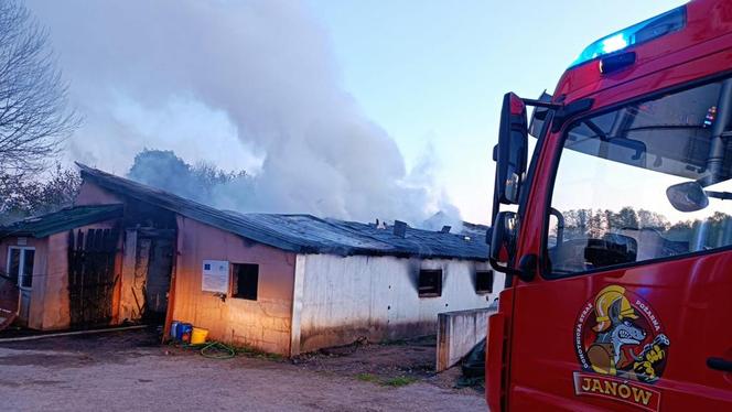 Kizielany. Tragiczny pożar obory. Spłonęło ponad 100 sztuk bydła