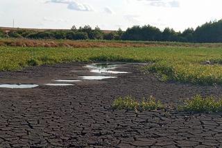 Nowe zdjęcia z jeziora w Skrzatuszu. Czy to pustynia, jezioro, czy bagno?