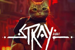 Stray najpierw rozkochał graczy, teraz zauroczy widzów! Słynny kotek dostanie film