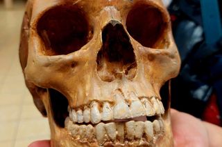 Blada, raczej drobna, o skandynawskiej urodzie. Umęczona, choć bardzo młoda. Tak wyglądała Wampirka z Pnia