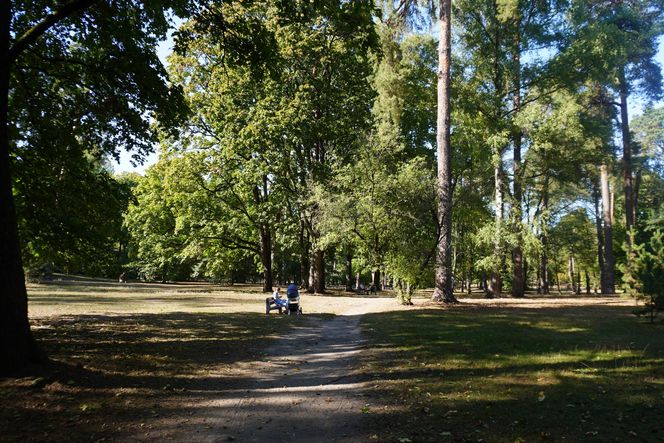 Park Konstytucji 3 Maja