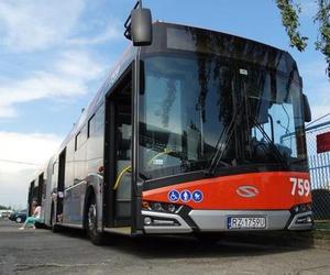 Rozkład jazdy rzeszowskich autobusów na majówkę. Jak będzie kursować komunikacja miejska?