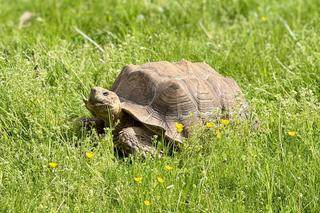 Szalone Małpki nagrywały teledysk w ZOO Leśne Zacisze pod Kielcami