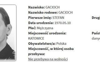 Rejestr Przestępców Seksualnych z województwa śląskiego [ZDJĘCIA]