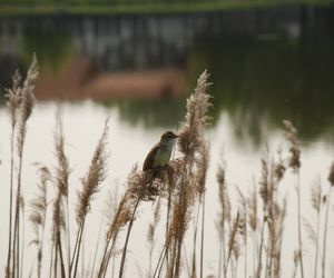 Zawody wędkarskie dla dzieci przyciągnęły w 2025 roku rekordową liczbę 148 uczestników