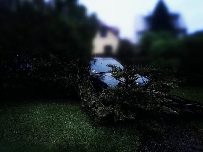 Kierowca bmw z Hajnówki wsiadł za kółko i wjechał w płot [ZDJĘCIA]