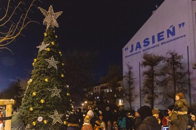 Dzielnicowe choinki w Gdańsku już świecą