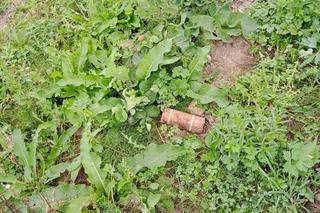 Mieszkaniec powiatu tarnowskiego wykopał pocisk artyleryjski z czasów II wojny światowej