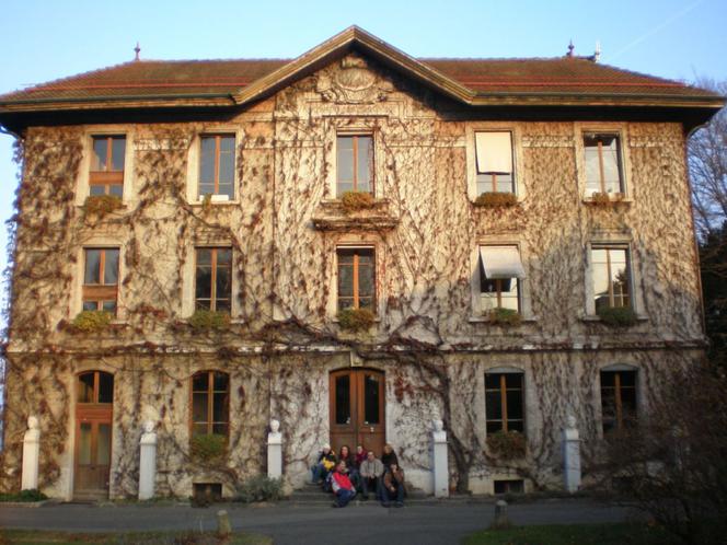 Pnacza w architekturze krajobrazu