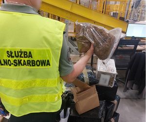 Kolejny nalot celników i ponad 140 kg nielegalnego tytoniu