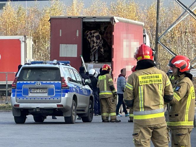 Ciężarówka wypełniona nielegalnymi imigrantami. „Kierowca wezwał służby”****