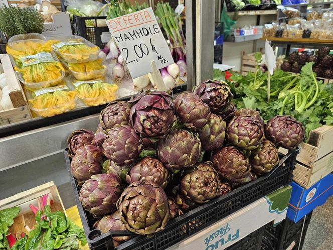 Ceny w Bolonii na czas polskich ferii