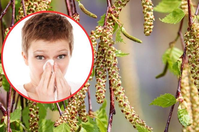 Alergia na pyłki w lutym? Co tak pyli?