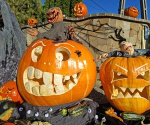 U Łukasza z Pawłowa hasło cukierek albo psikus nabiera innego wymiaru. Najbardziej halloweenowy dom świętokrzyskiego