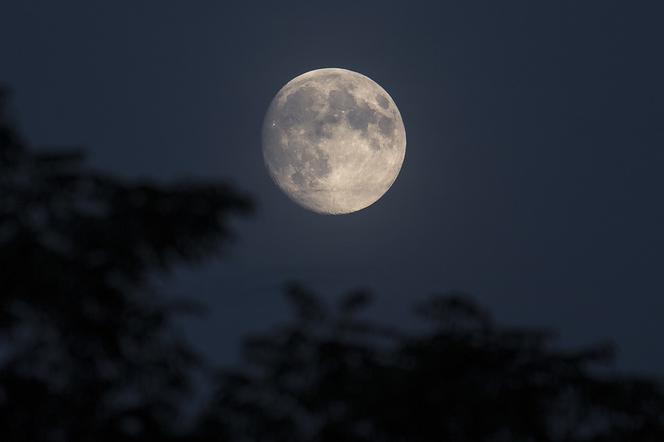 Głowy do góry! Niedługo zobaczymy największy Księżyc od 1948 roku. Gdzie oglądać Superpełnię w Trójmieście?