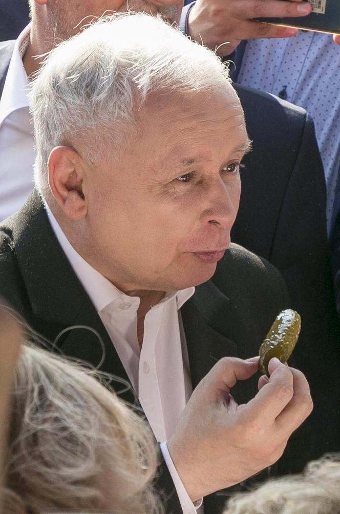 Co je Jarosław Kaczyński?