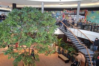 Wielkie otwarcie Fortu Wola.