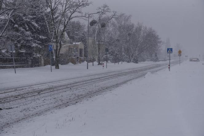  Zamordował Sylwię i powiesił sie w lesie