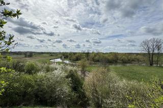 Pomysł na wycieczkę niedaleko Lublina. Zobaczcie zespół parkowo-pałacowy w Zawieprzycach