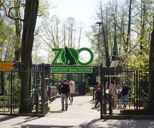 10 miejsc, które warto odwiedzić w Białymstoku podczas wakacji
