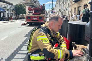 Niezwykła akcja strażaków na Nowym Świecie. Pies hasał po dachu kamienicy