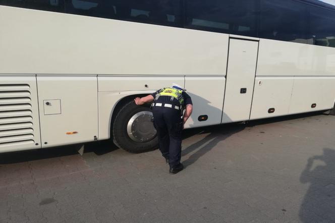 policja autobusy 