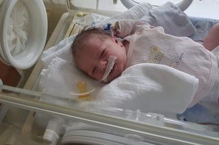 Zosia choruje na złożoną wadę serca. Potrzeba miliona złotych, by ją uratować