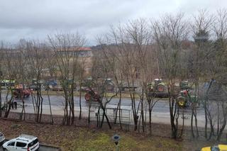 Protest rolników w Olsztynie 20 lutego [ZDJĘCIA]