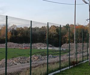 Dziki zryły murawę remontowanego stadionu! Kto zapłaci za naprawę?