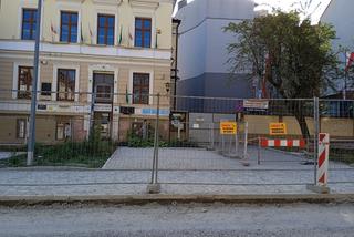 Nasadzenia drzew przy ulicy Piłsudskiego