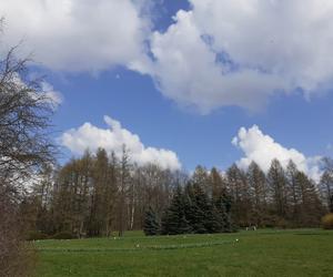 Łódzki Ogród Botaniczny obchodzi 50-lecie. To miejsce rozkwita i czeka na gości