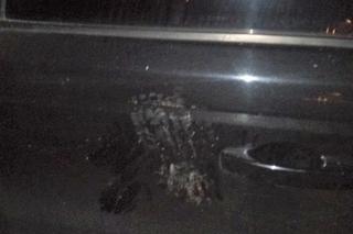 Wpadł w furię na widok... zaparkowanego samochodu. Land rover został poważnie uszkodzony