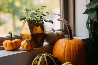 Jak udekorować okno na jesień? Te dwa kolory podbijają jesienne aranżacje. Aż 14 inspiracji