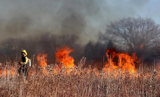 Rusza sezon na wypalanie traw - strażacy ostrzegają jest to surowo zabronione i niebezpieczne [POSŁUCHAJ]