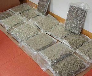 CBŚP zlikwidowało narkobiznes pseudokibica. Zobacz, co znaleźli!