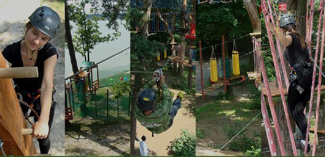 Park linowy nad Zalwem