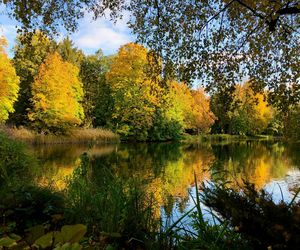 Który park w Warszawie jest najładniejszy? Ruszyło wielkie głosowanie