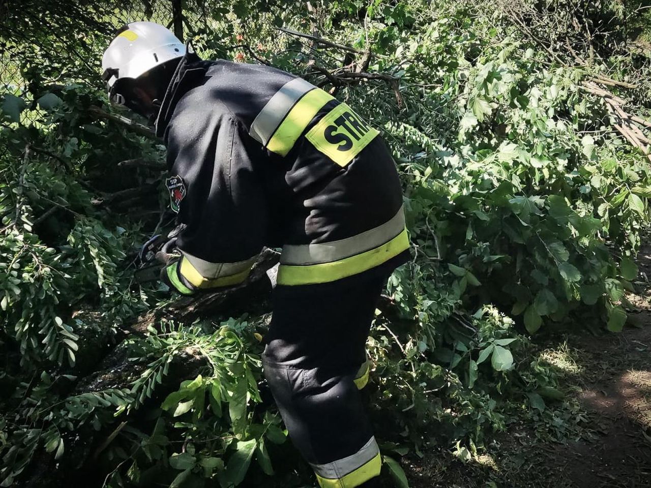 Żywioł nie odpuszcza. Prawie 900 zgłoszeń po gwałtownej pogodzie