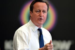 David Cameron nie chce Tuska na szefa Rady Europejskiej! Każdy inny kandydat będzie lepszy!