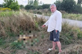 Makabryczne odkrycia przy budowie A2 na Mazowszu. Niewytłumaczalna fala zabójstw