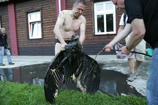 Bohater ze świnoujścia! Wyciągnąłem orła z błota
