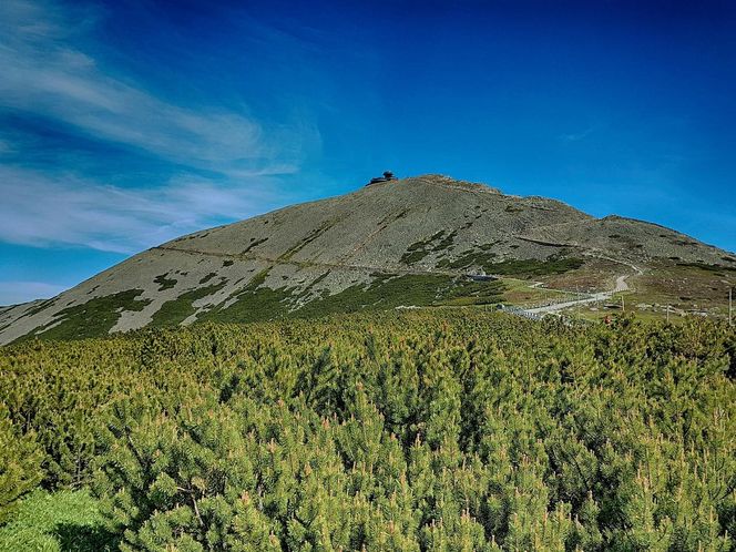 Śnieżka