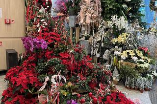 Promenada i sklepy w świątecznej odsłonie 