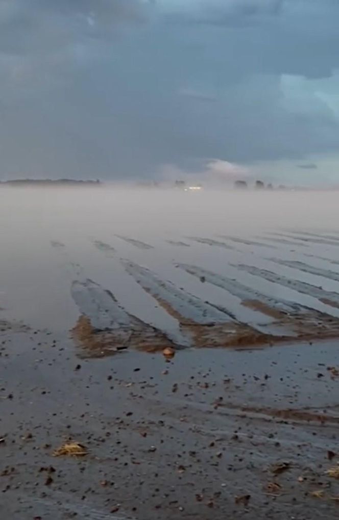 Zniszczone plantacje warzyw i owoców na Dolnym Śląsku. "To był prawdziwy armagedon" 