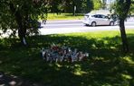 Park