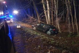 16-letnia dziewczyna zginęła wskutek wypadku drogowego w Zalesiu (Świętokrzyskie)