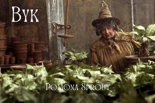 Którą postać z Harry'ego Pottera przypominasz według Twojego znaku zodiaku?